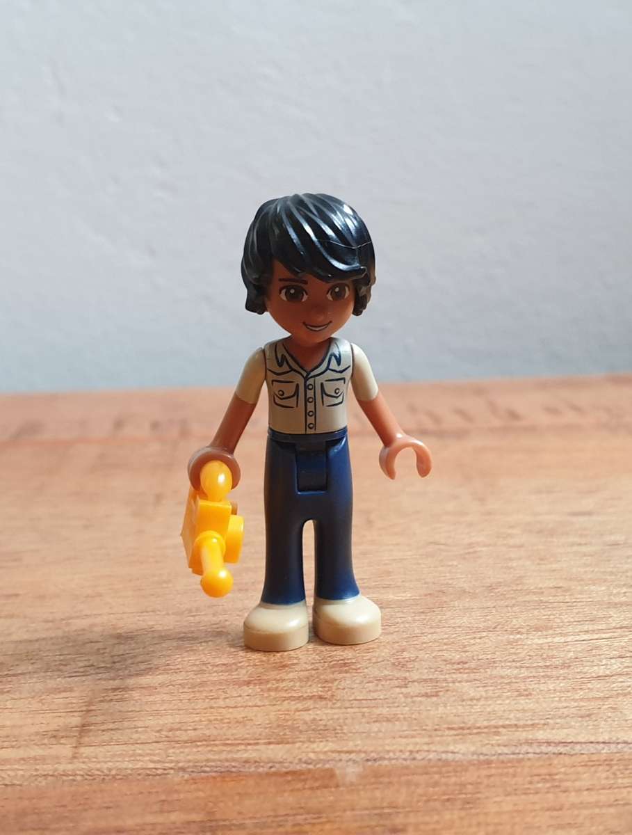 LEGO Friends Jungle Bridge Rescue